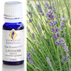 Essential Oil Lavender Bulgarian